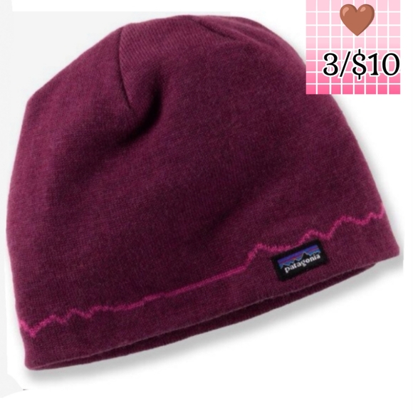Patagonia Accessories - 🤎 Patagonia | Skully Beanie Logo Cap One Size